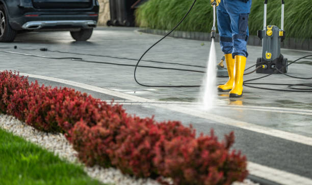 Best Deck Cleaning Services  in Lodi, WI